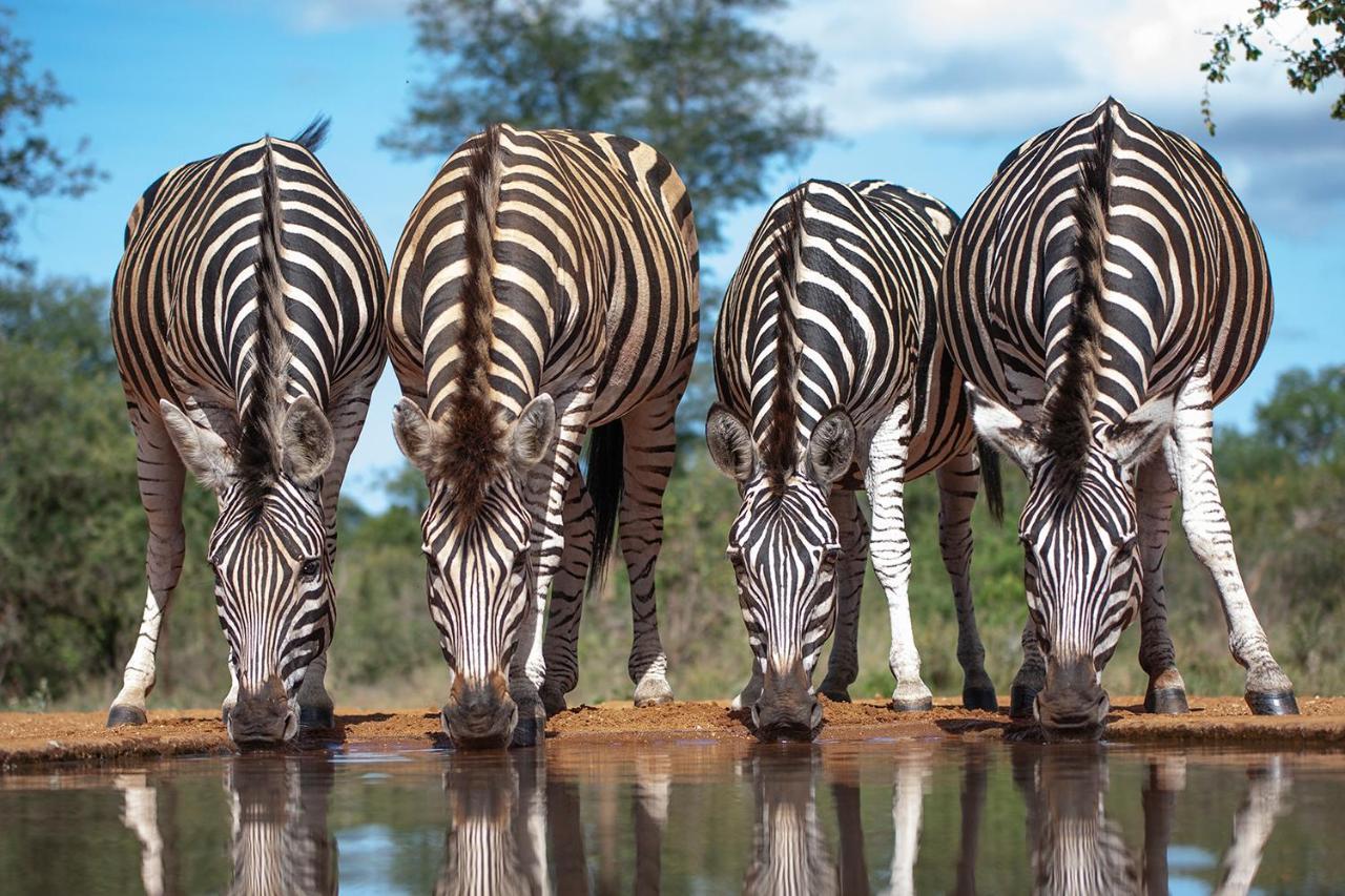 Karongwe Portfolio - Kuname Lodge *