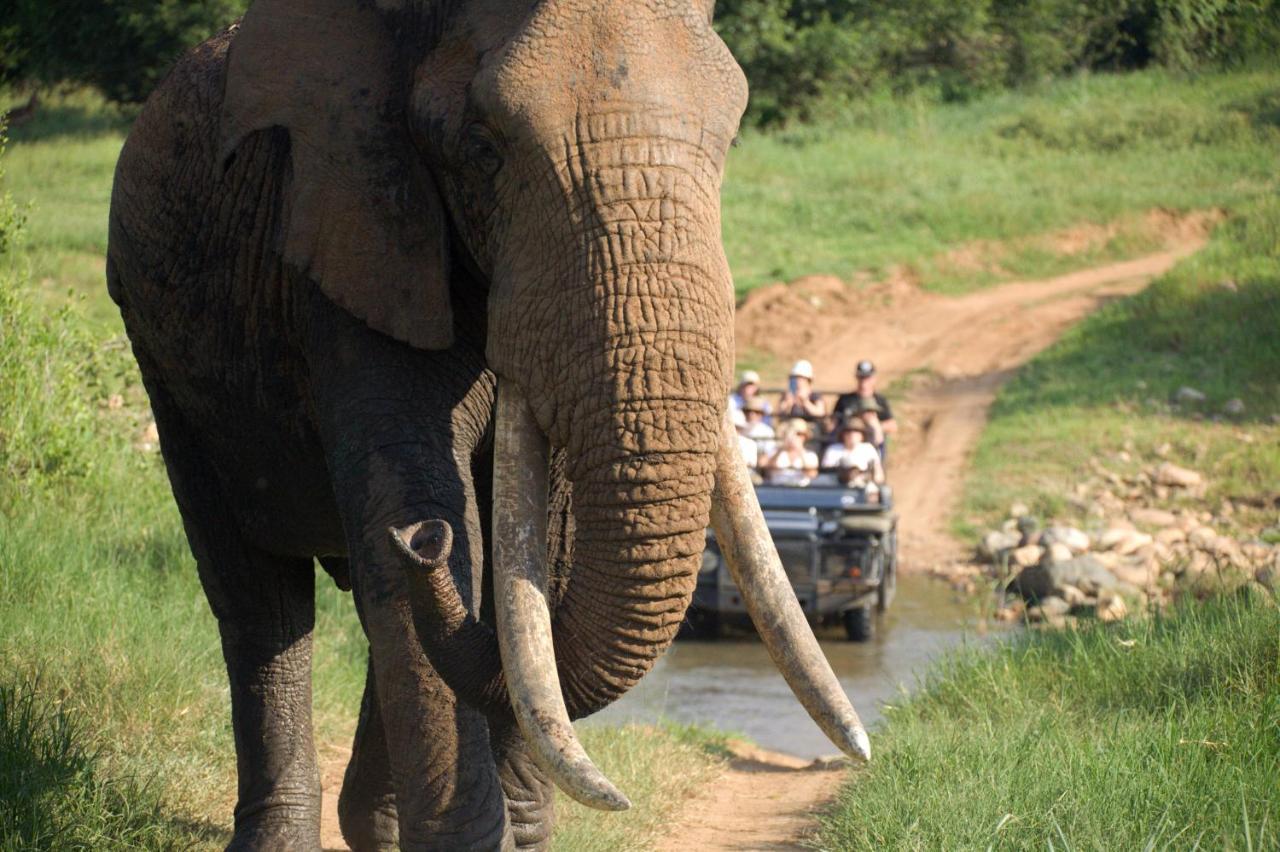 Karongwe Portfolio - Kuname Karongwe Game Reserve