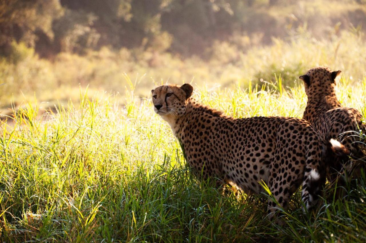 Lodge Karongwe Portfolio - Kuname