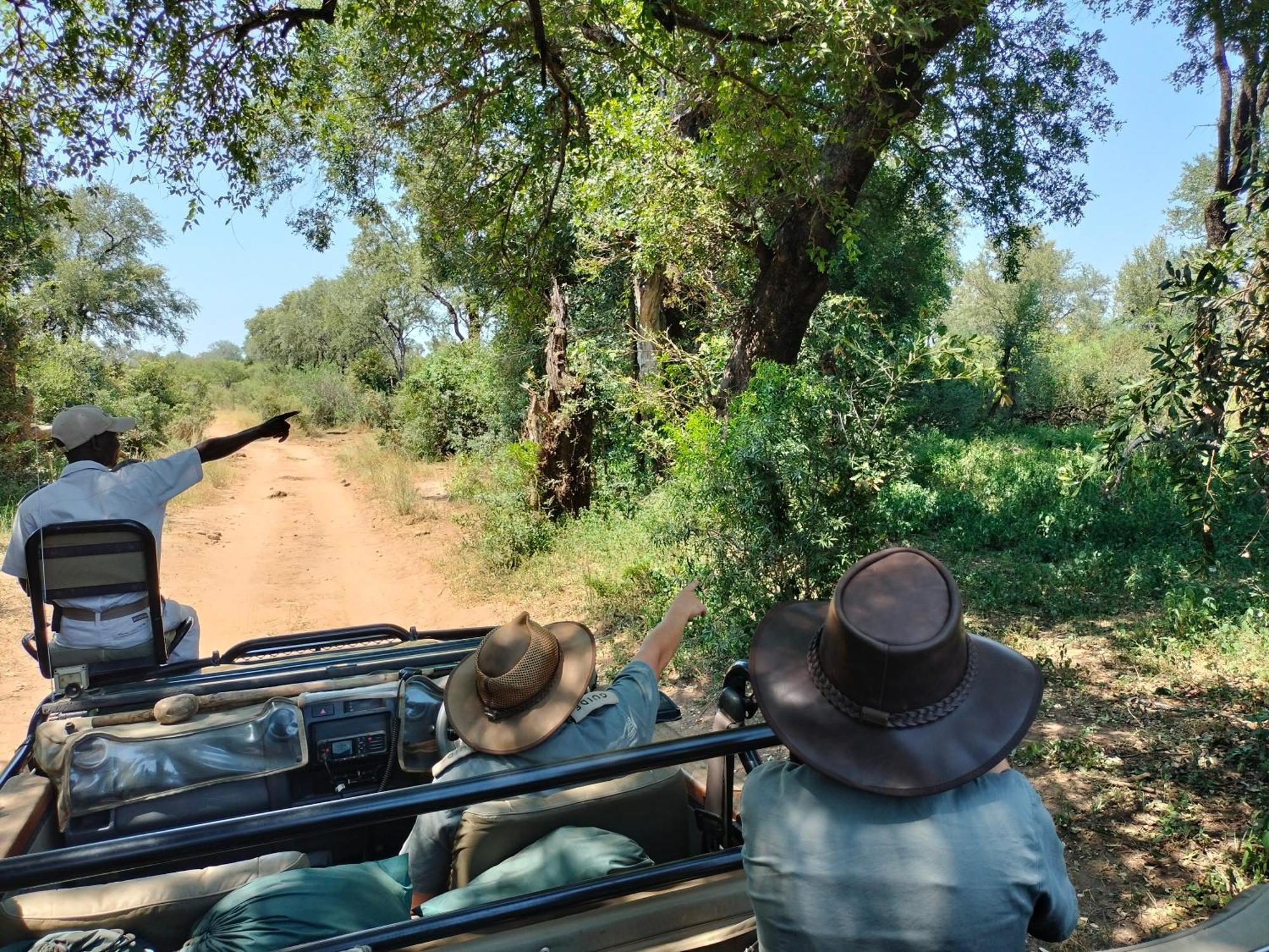 Karongwe Portfolio - Kuname * Karongwe Game Reserve