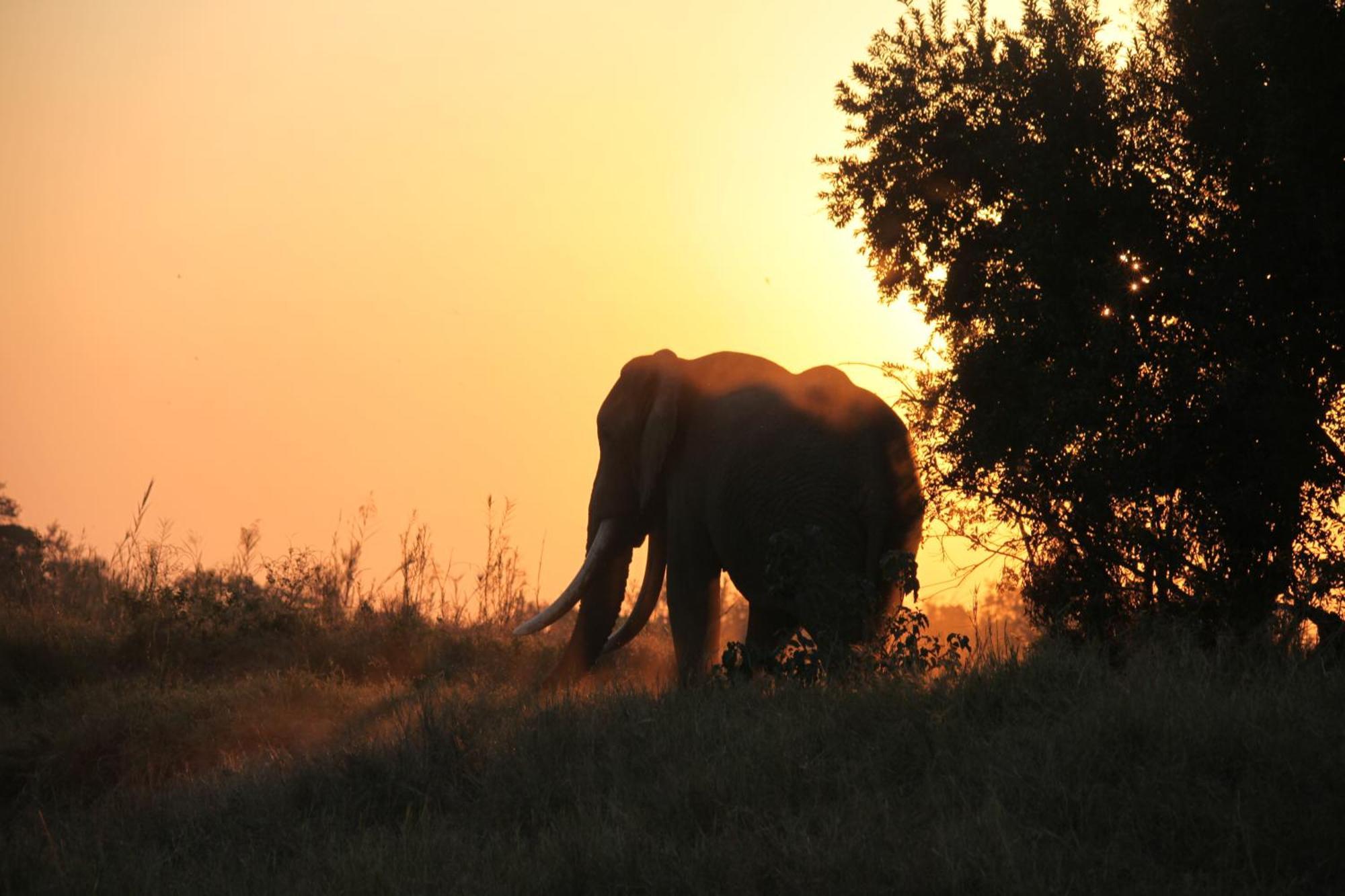 Karongwe Portfolio - Kuname